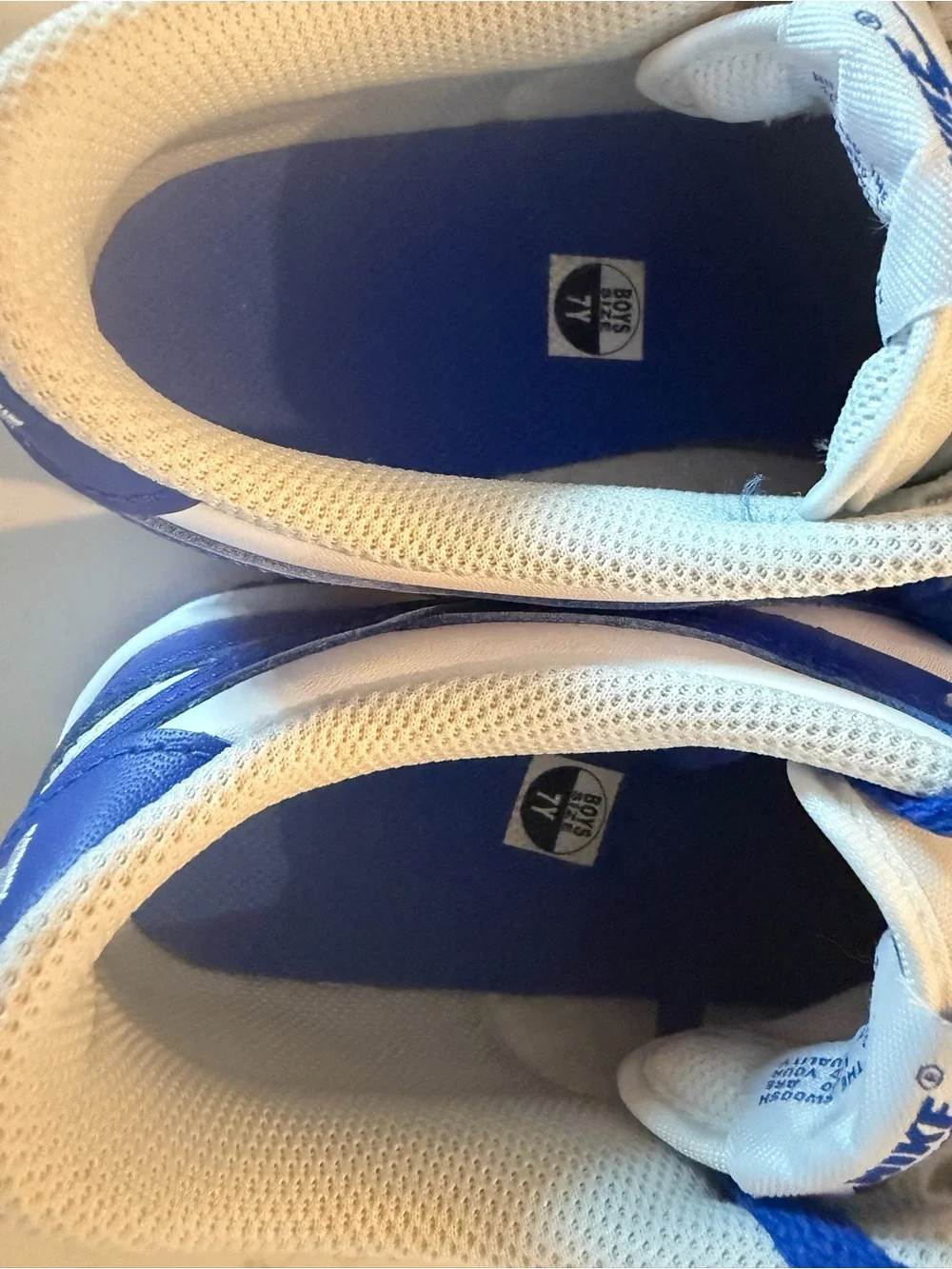 Nike Dunk Royal Blue and White Low-Top Sneakers